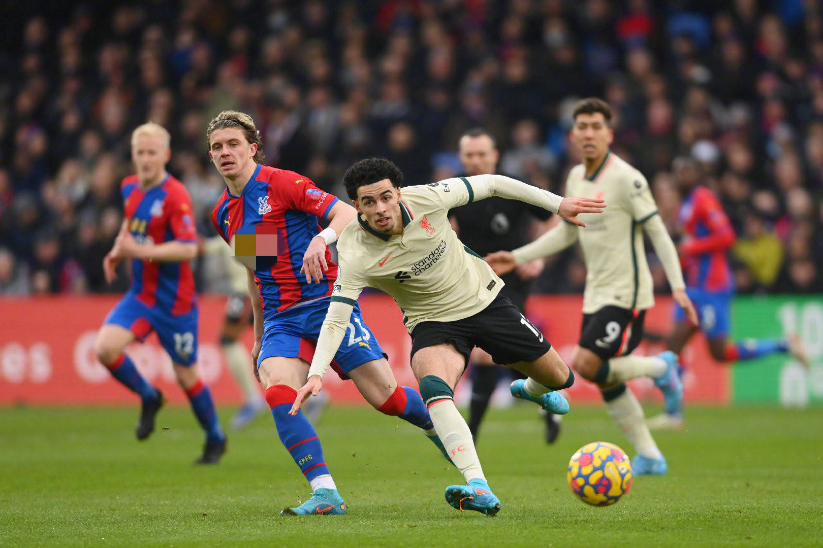 大能否翻盘 大能否翻盘